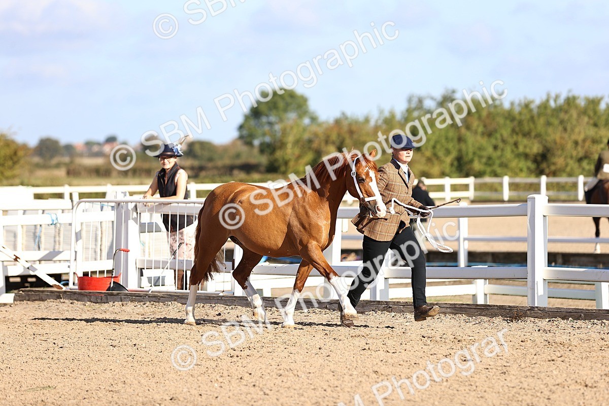 SBM_08436 - Class 402 - IH Veteran Pony