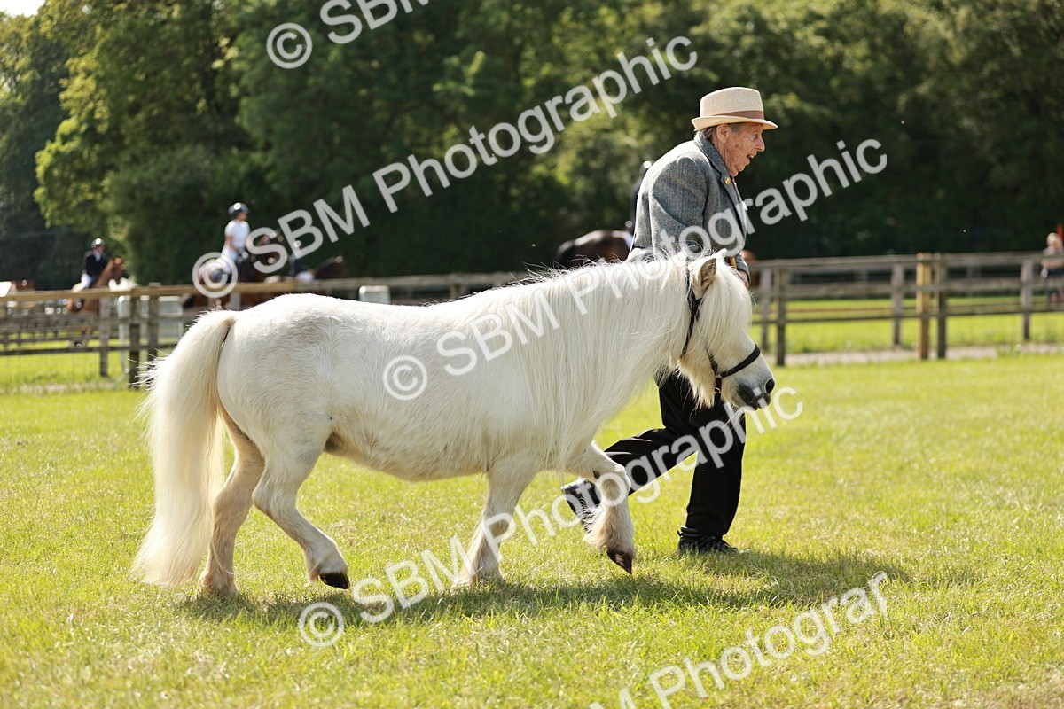 SBM_01955 - Class 14-23 - Mountain & Moorland In Hand Non Welsh