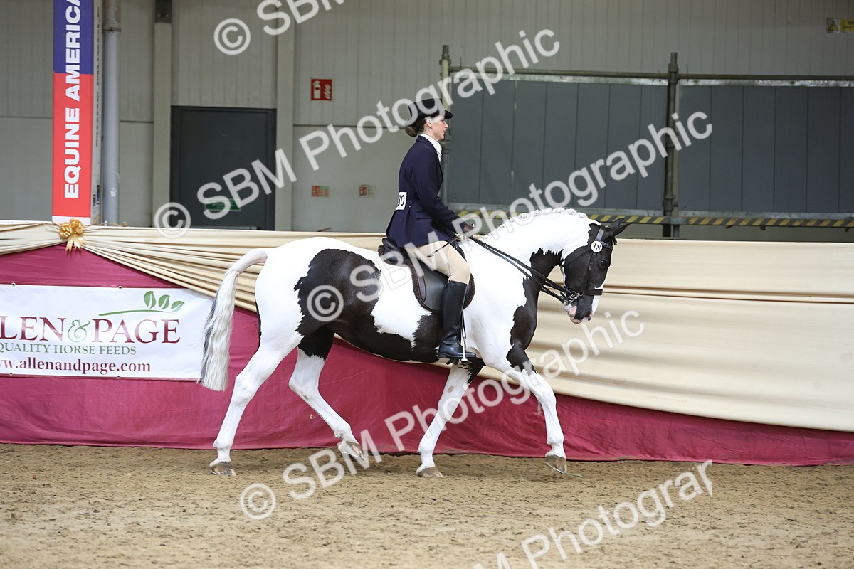 SBM_23687 - class 906 - Supreme Final - Ridden Pre Vet