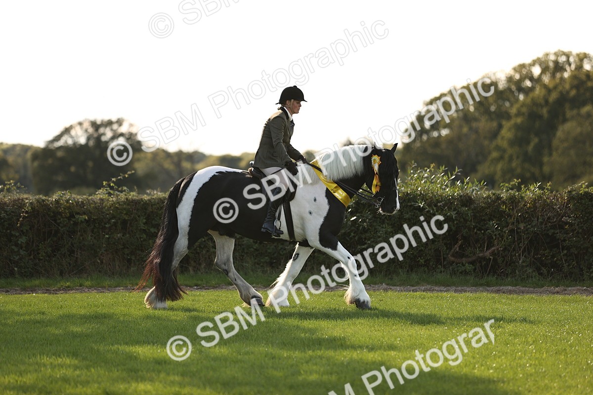 SBM_26503 - S6 - Novice & Newcomers Ridden Horse