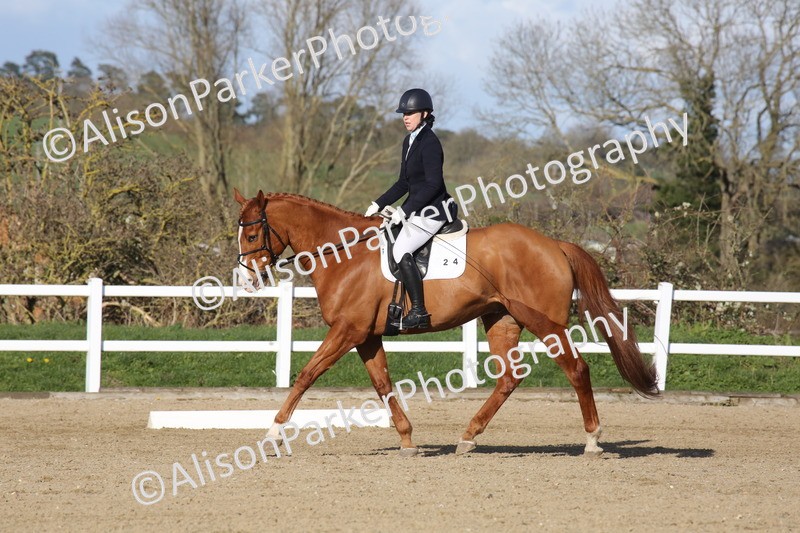 20260314-6059 - CT5 - Novice 2