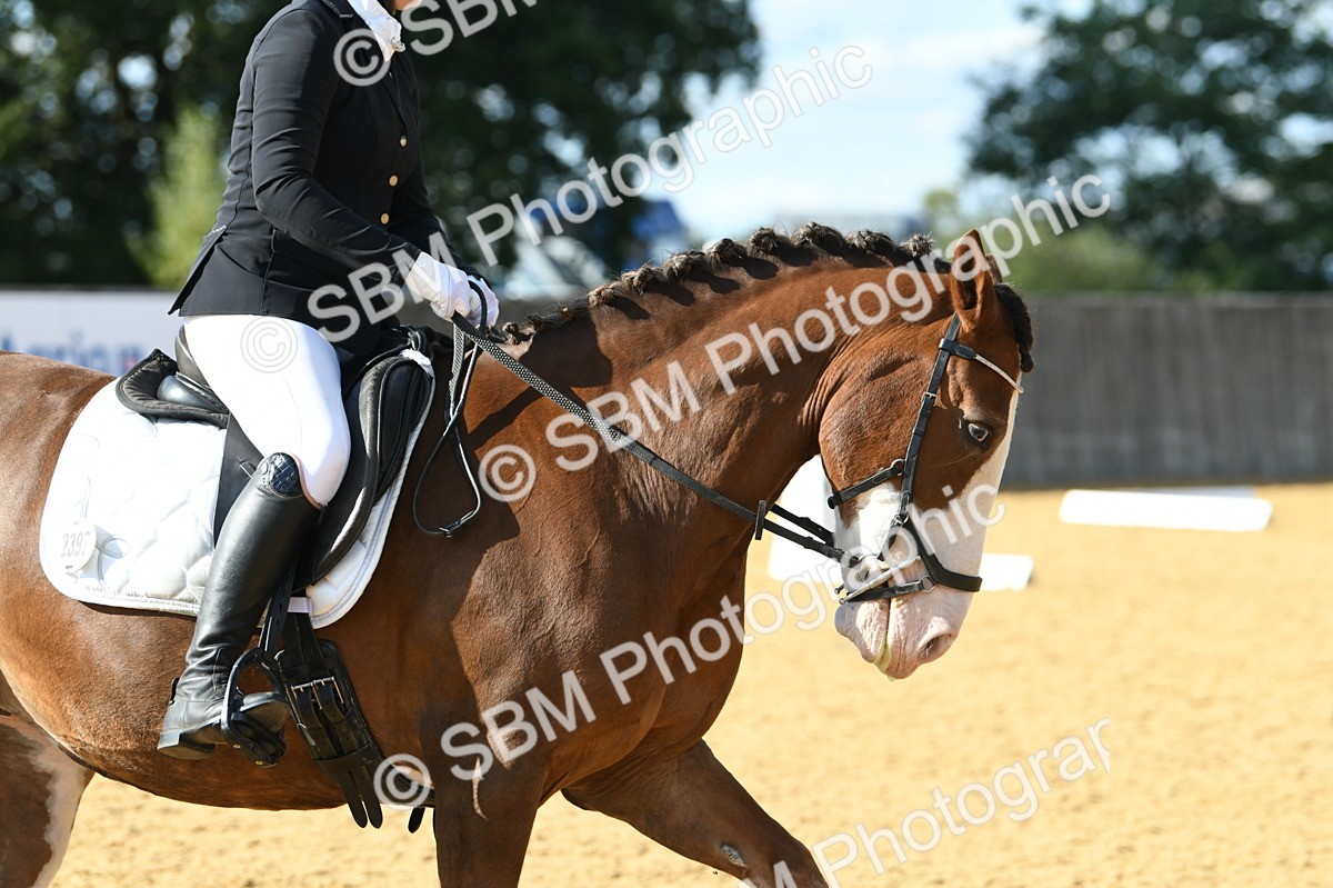 SBM_27116 - D16 - Small Tour Championship - Novice 28