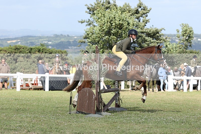 JPP_2755 - Class 20: Working Hunter 70cm