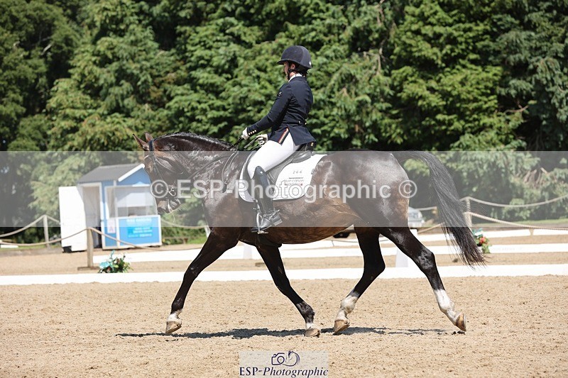 240719-143011-02331 - 266-Chloe_Cocks-Indulgence