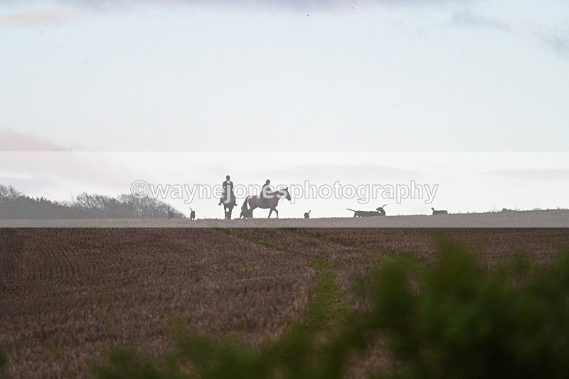 WJ7_9784 - Camera 1 & Last fence