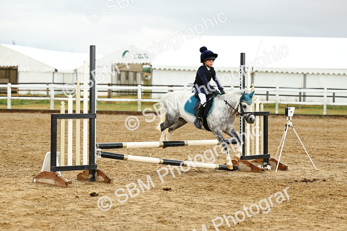 SBM_000800 - Class 3 - 60cm