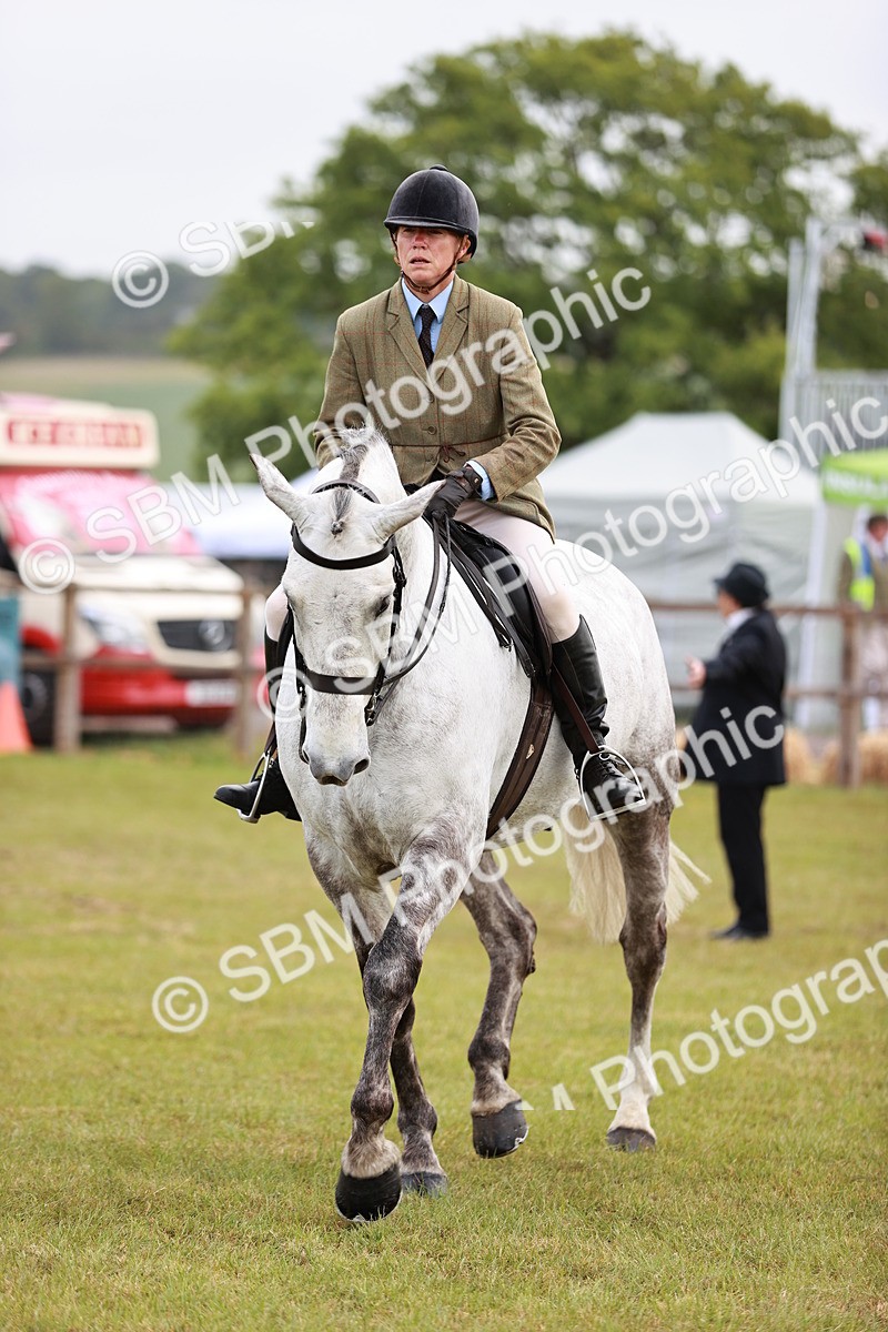 SBM_10770 - Class 81-84 - RIHS Ridden hunters Inc Ladies Hunter