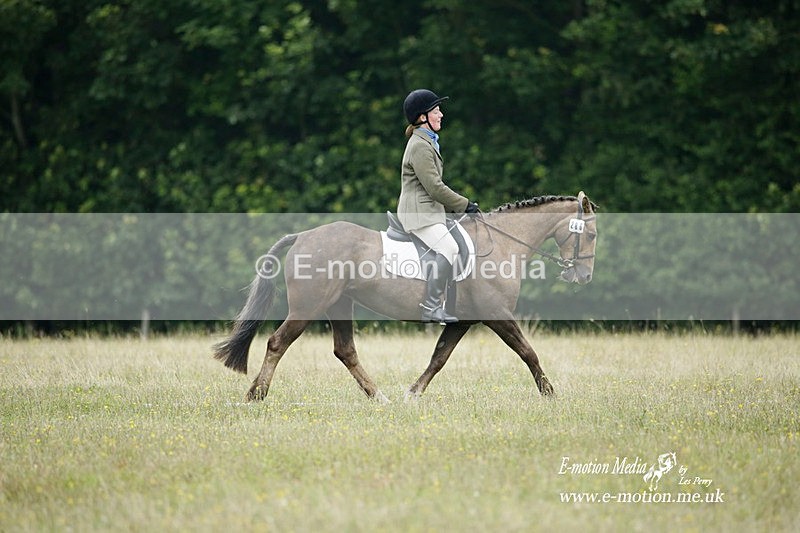 BVRC 030721 520 - Bourne Valley Riding Club Dressage 03/07/21