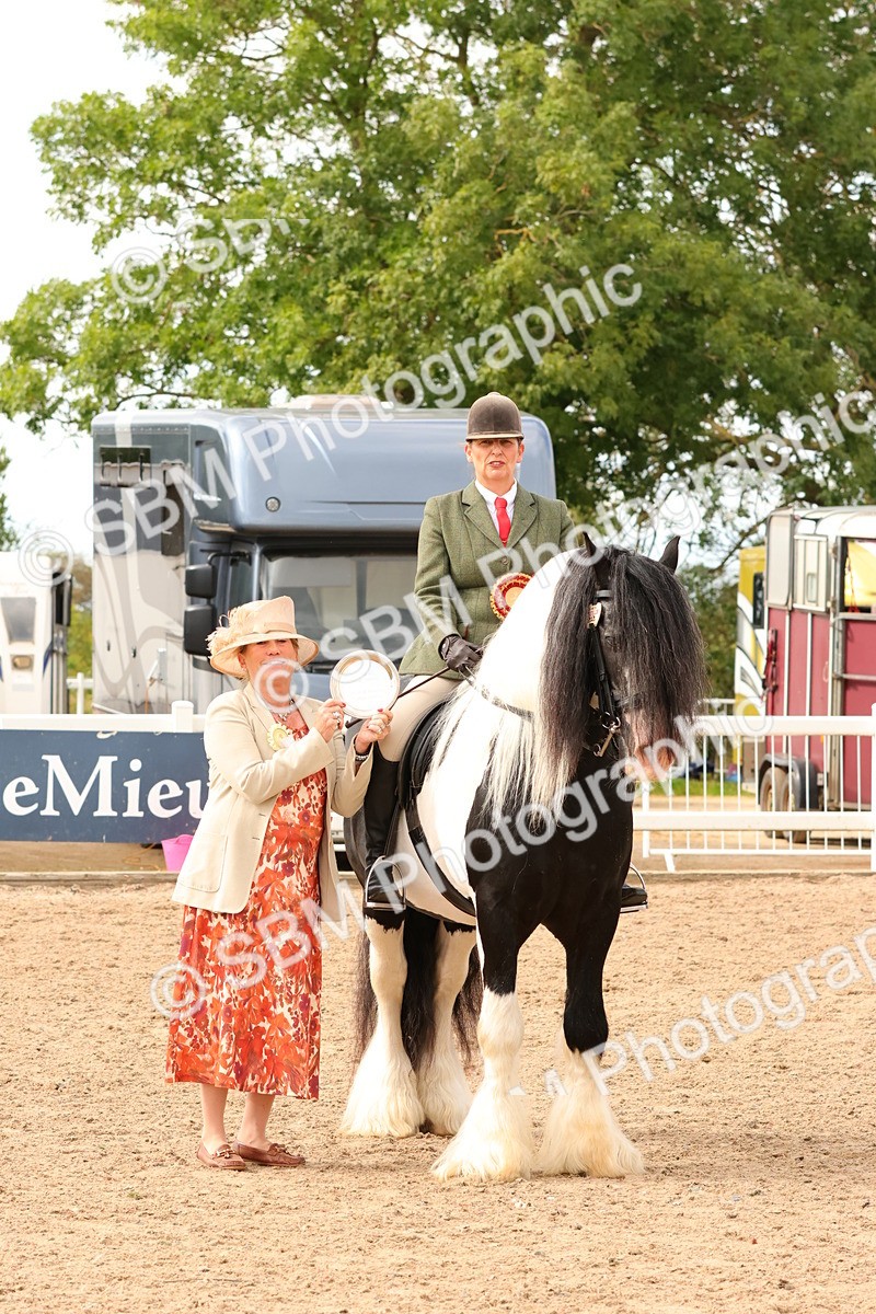 SBM_15715 - Class 215 - Ridden Traditional - Native Cobs