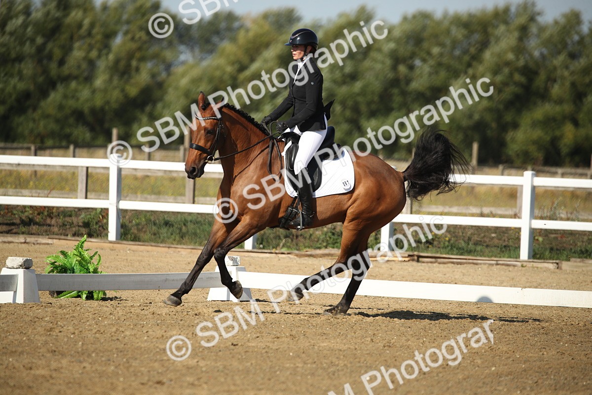 SBM_004556 - Class 11 - Novice 5 - 9.0010.03