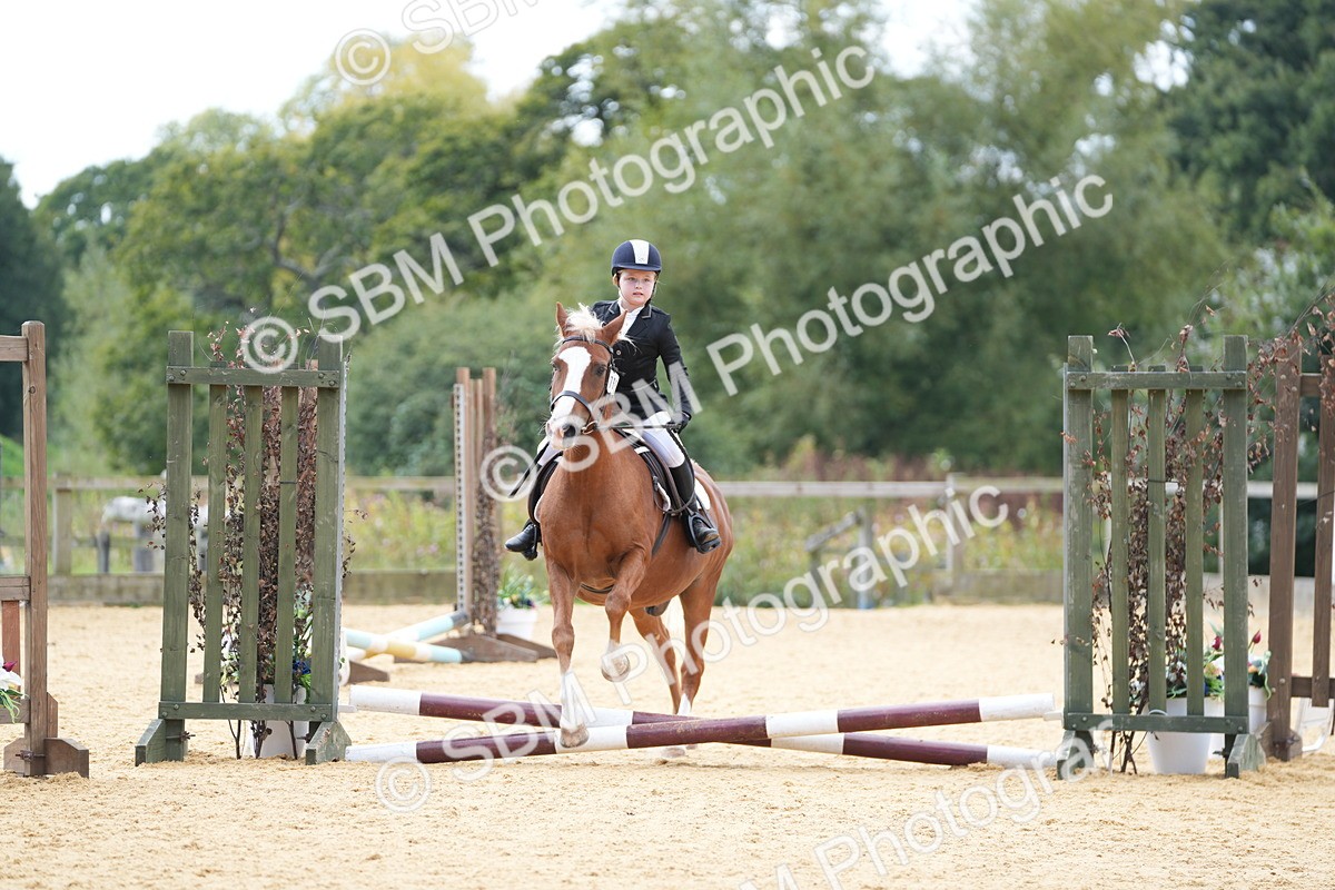 SBM_65664 - J2 - Mini Tour Junior Pony 30cm Championship