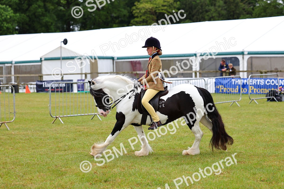 SBM_02634 - Class 9-11 Side Saddle including LIHS Rising Star Ladies Show Horse