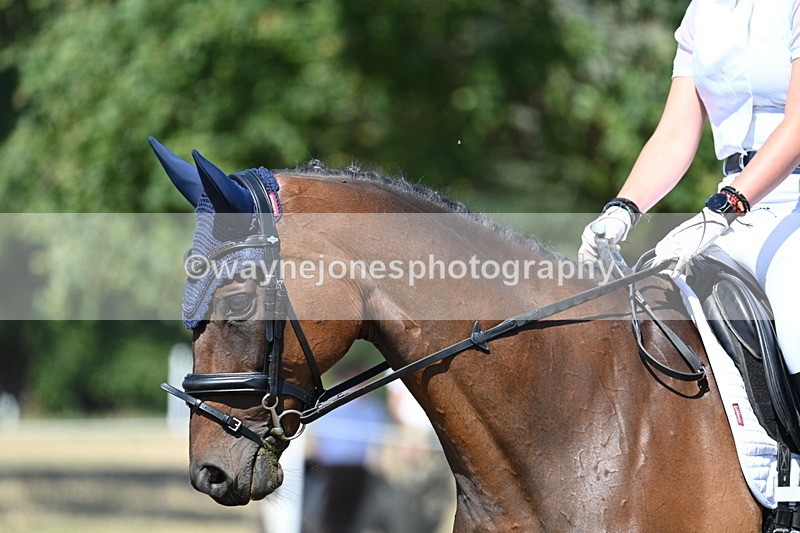 WJ7_1019 - Time 12:34 to 12:47