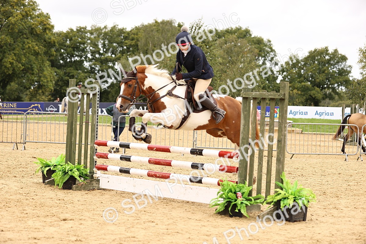 SBM_65566 - J17 - Junior Pony 80cm Championship