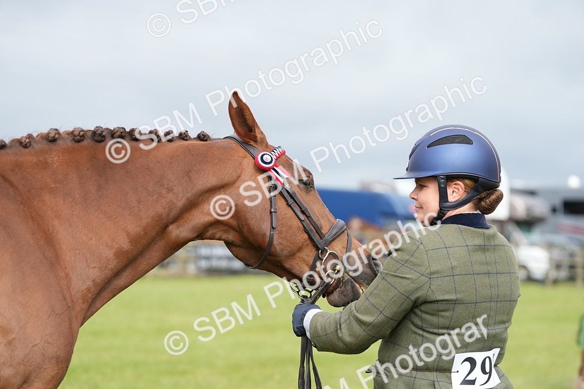 SBM_10629 - Class 97-98 - LIHS BSHA Rising Star Working Show Horse Hunter