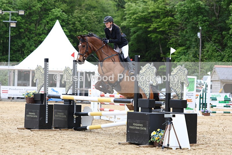 3E7A6041 - Class 4: Senior British Novice/90cm open