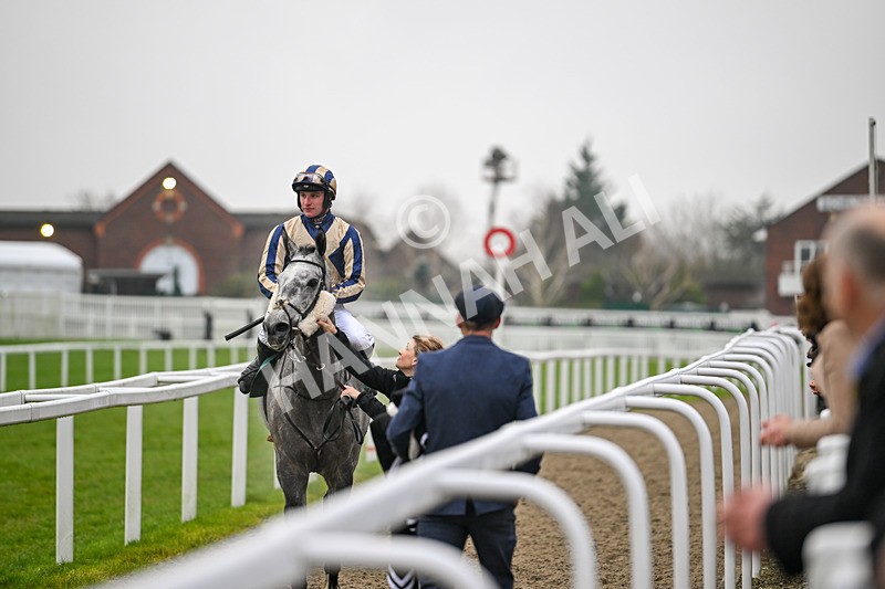 131224-Race 4-King Turgeon-9189 - Race 4