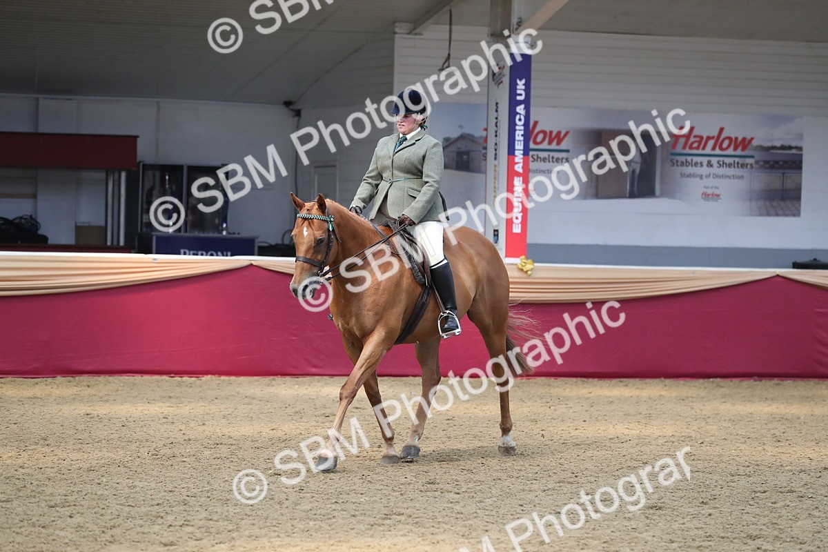 SBM_12371 - Class 108 Ridden Retired Racehorse- Pre Judging