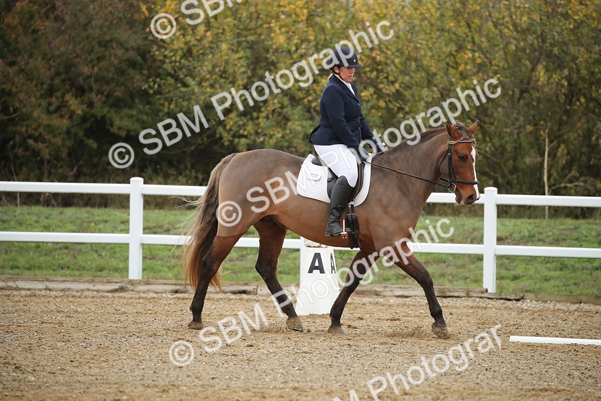 SBM_000489 - Intro 2
