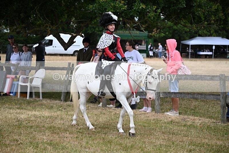 WJ6_4619 - Class 11 Fancy Dress