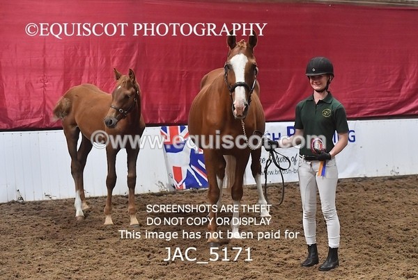 JAC_5171 - 9 Zinzipan