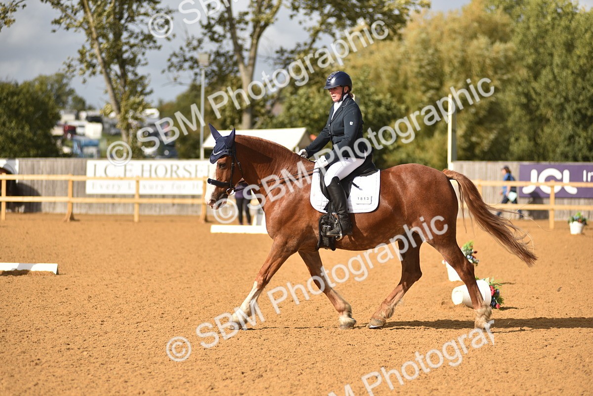 SBM_24377 - D4 - Small Tour Championship Intro 4