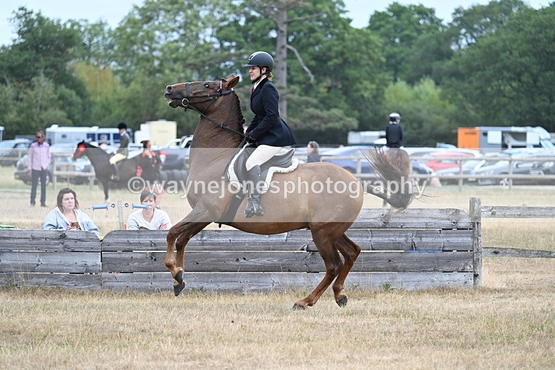 WJ7_0822 - Class 7 Riding Club Show Horse