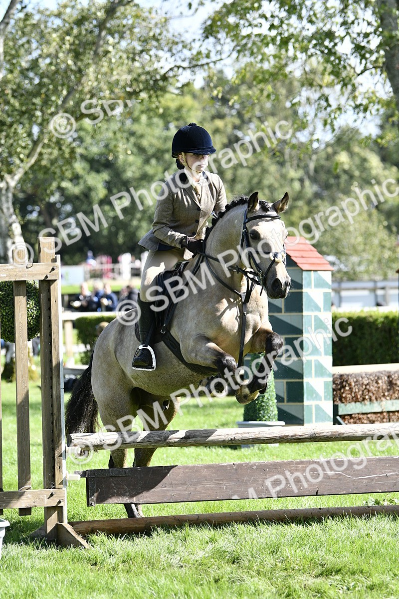 SBM_45727 - S33 - Working Hunter Pony