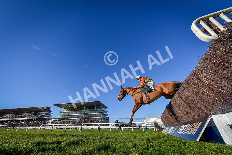 141224-Race 2-Livin On Luco-9325 - Race 2