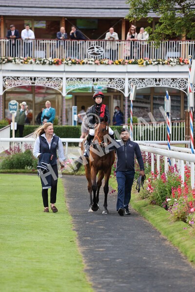 yr23072021r4-31 - Race 4 7.30pm British Stallion Studs EBF Lyric Fillies' Stakes