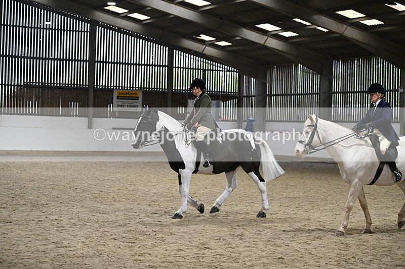 WJ7_3717 - Class 16 Ridden Coloured/ Odd Coloured