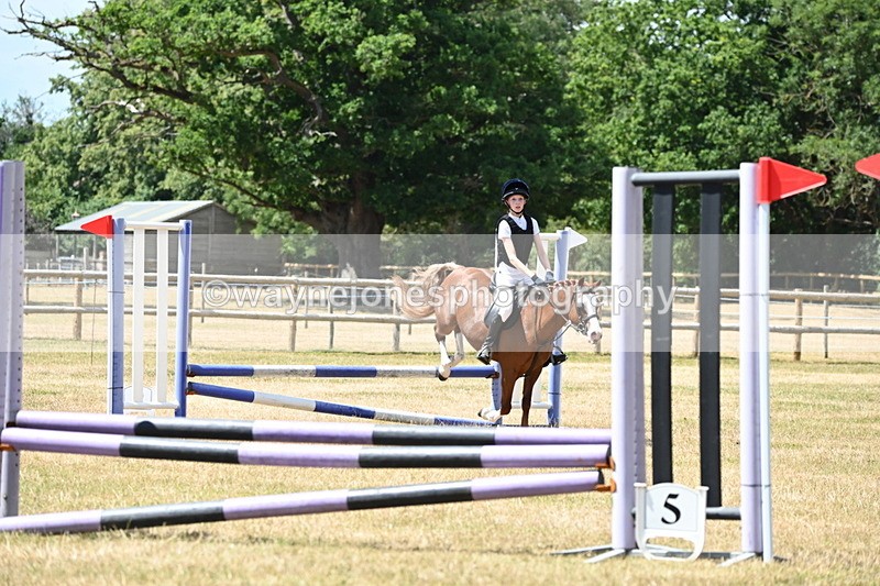 WJ6_5755 - Class 13 Novice 60cm