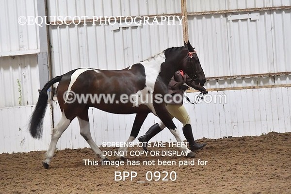 BPP_0920 - RING 2