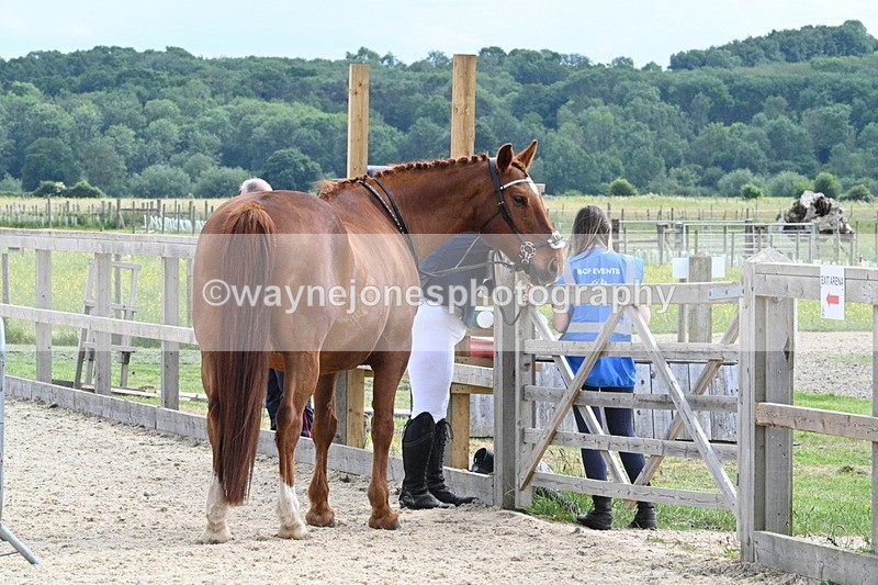 WJ7_7954 - Time 15:39 to 16:08