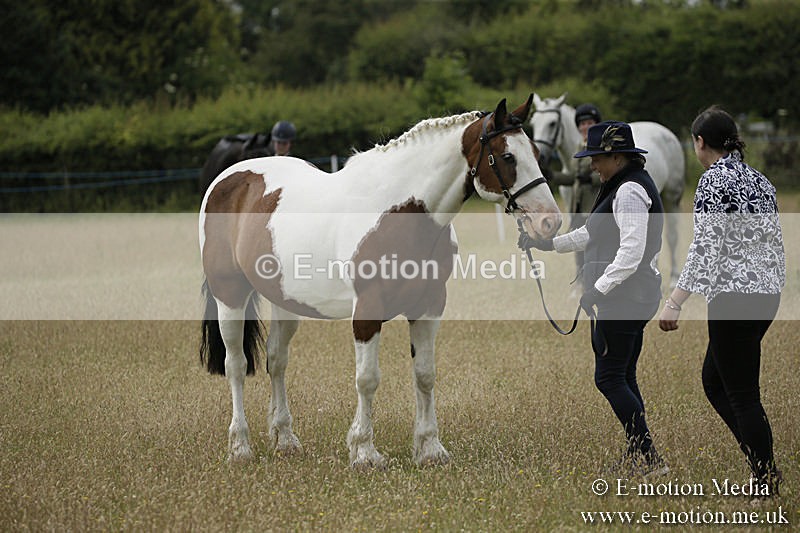 B230619-0392 - Bourne Valley Riding Club Summer Show 23/06/19