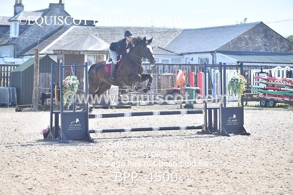 BPP_4500 - CLASS 3 Senior British Novice/ 90cm Open