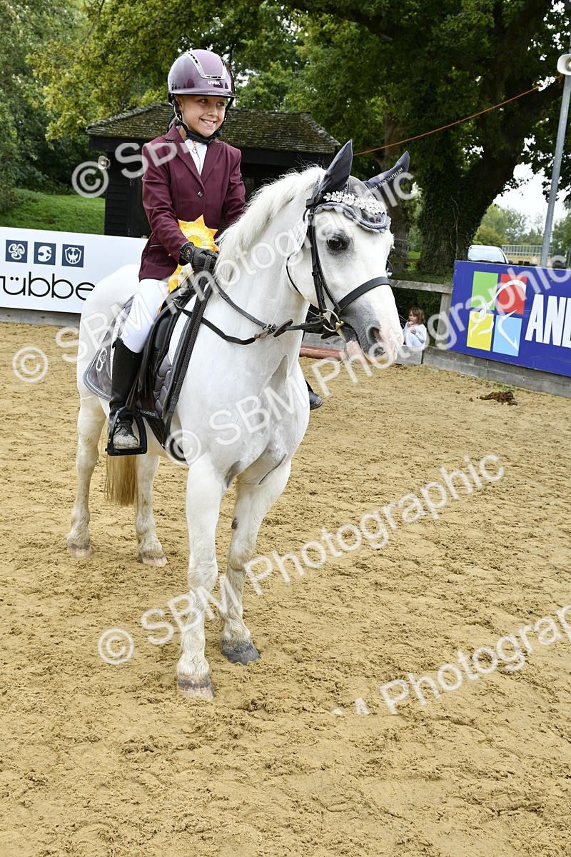 SBM_66201 - J2a mini Tour Junior Pony 30cm Championship