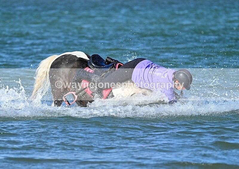 WJ7_3520_1 - Kellie & Churchill ... do Hayling Island 25-08-24