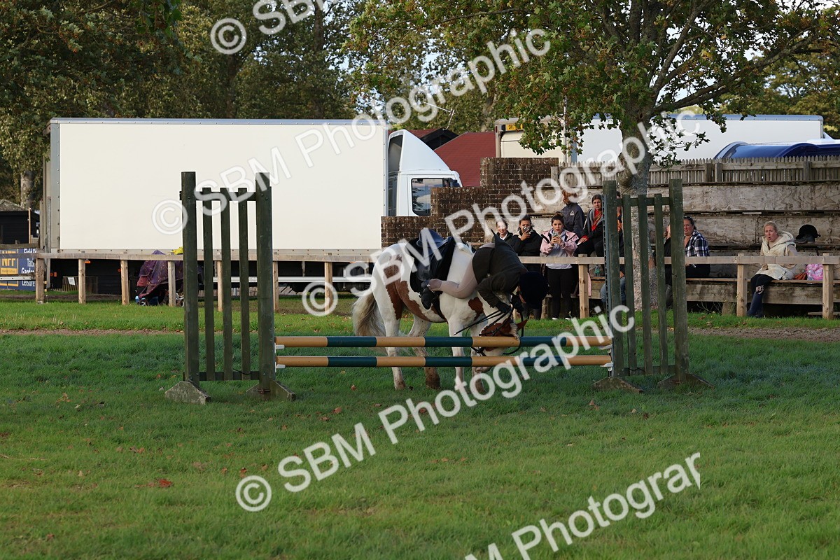 SBM_52571 - S13 - Pony Club Pony