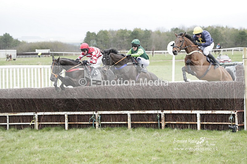 PtP 260323 0488 - New Forest Hounds Point-to-Point Larkhill 26/03/23