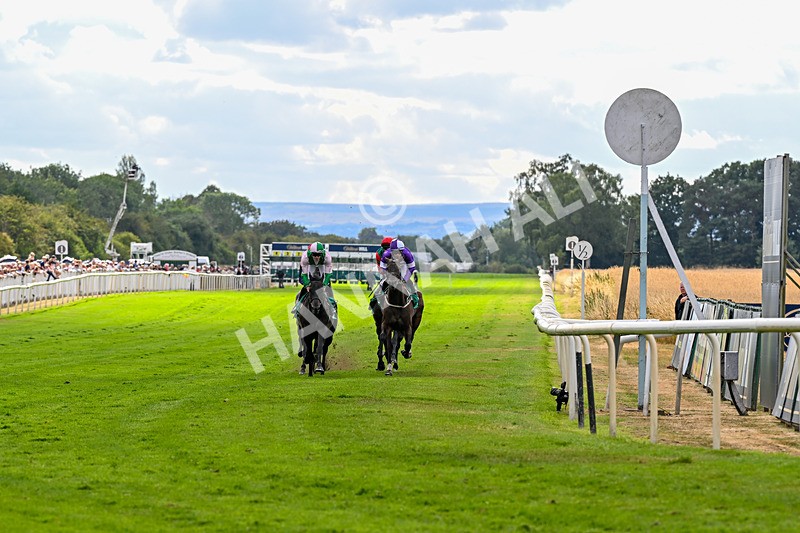 010826-Race 6-La Peregrina-3267 - Race 6 16.22pm Vision PVC Carlton Miniott Thirsk Handicap