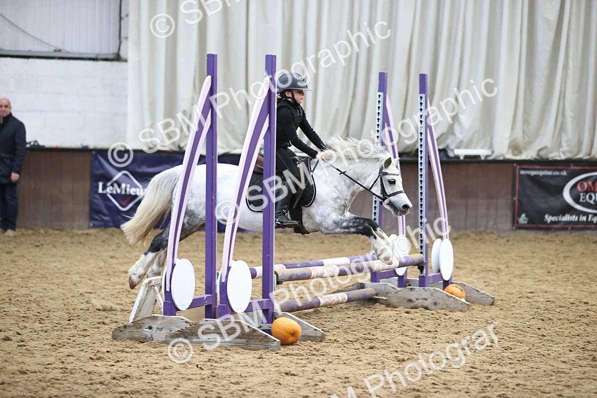 SBM_001388 - Class 3 - Horse & Hound 60cm