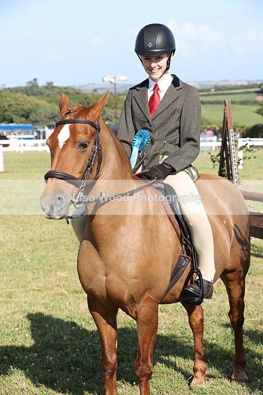 JPP_3060 - Class 20: Working Hunter 70cm