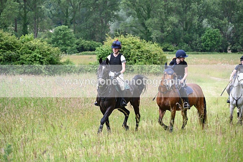 WJ6_7928 - Camera 1 Gallops
