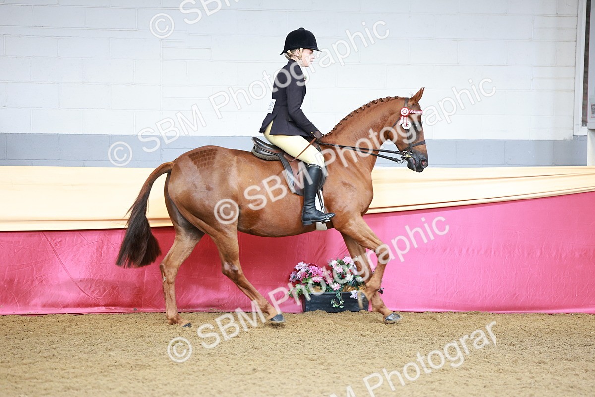 SBM_11902 - Class 102 - Equitation (Best Rider) Adult