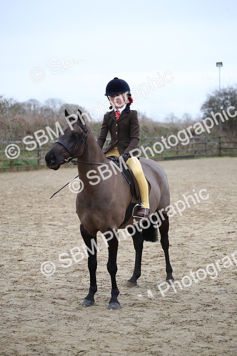 SBM_004623 - Class 5-9 - NPS In Hand-Show Hunter-Intermediate Ridden Inc Ridden Championship
