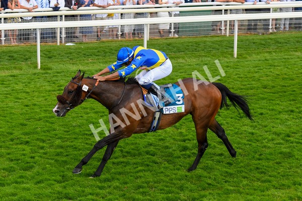 170623-Race 7-The Green Man-1020 - Race 7 5.25pm Clean Up With PPS Handicap