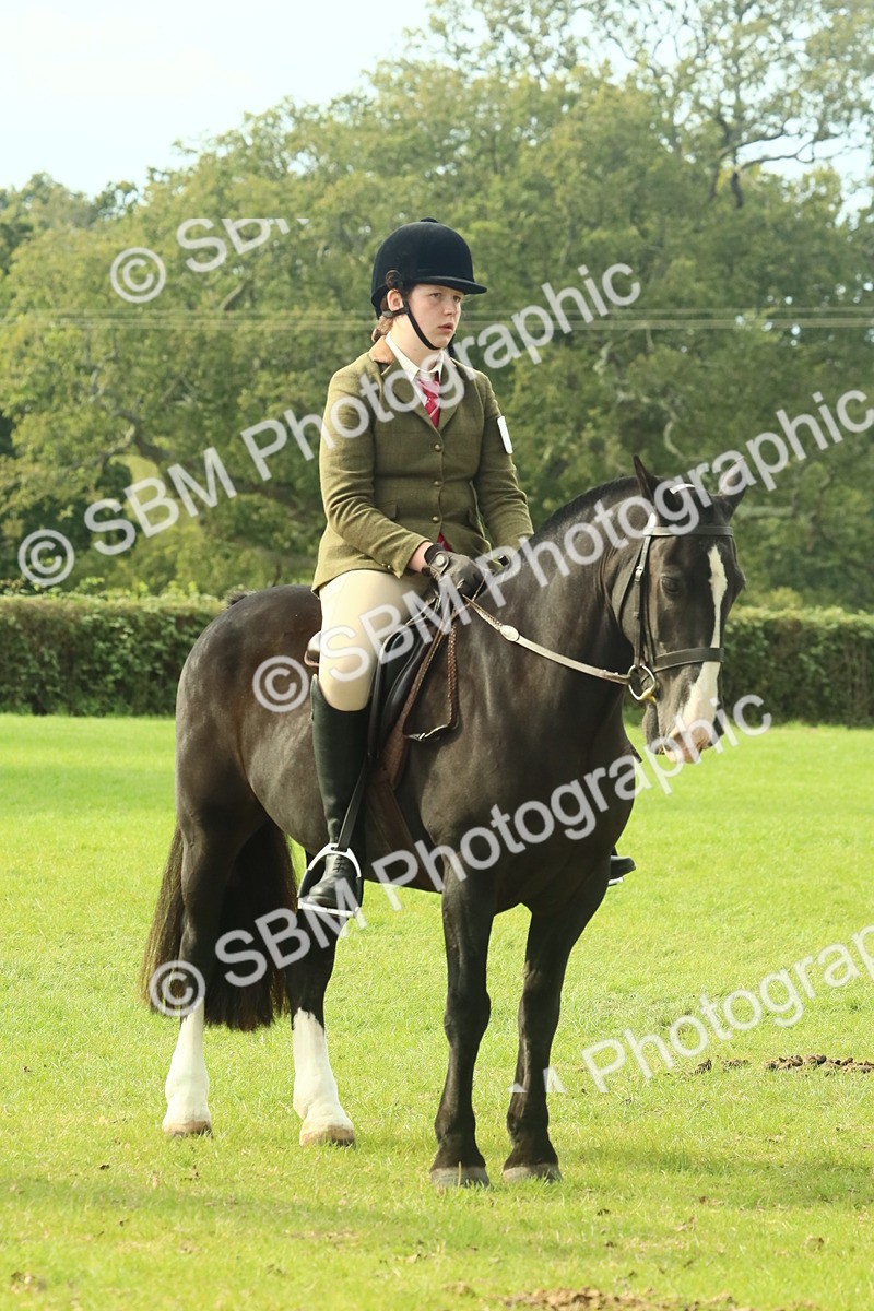 SBM_69368 - S58 - Mini Show Cob Ridden