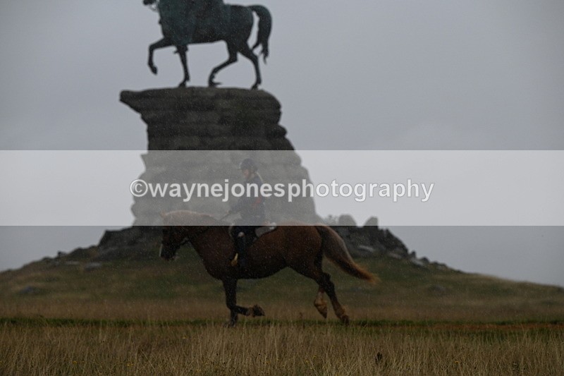 DSC_2831 - Time at Statue 12:59 to 13:49