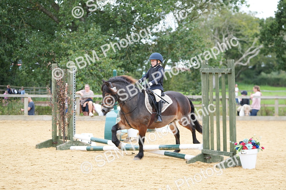SBM_64354 - J2 - Mini Tour Junior Pony 30cm Championship